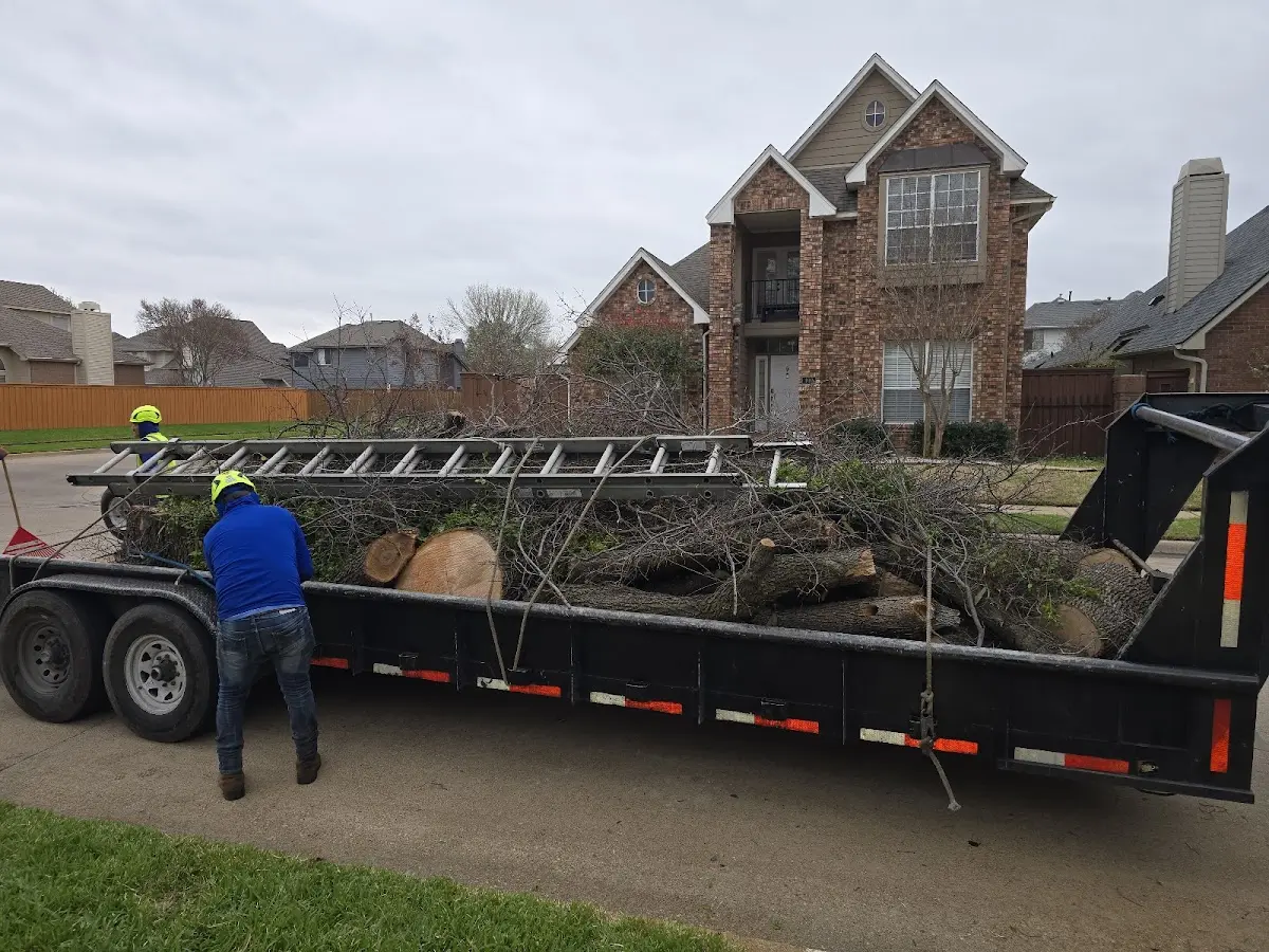 Expert Tree Fertilization with proper safety equipment in Janesville